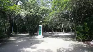 Ayuntamiento de Cancún tira más de 9 millones de pesos a la 'basura'