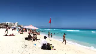 La Profeco da a conocer ciertos puntos a seguir para evitar estafas