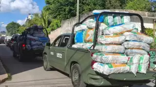Aseguran toneladas de carbón vegetal durante operativo federal en Kaua