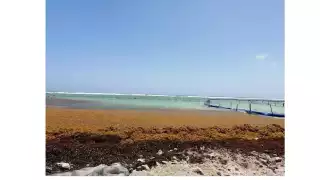 Parte de la red que fue colocada frente a la zona de restaurantes de Mahahual fue dañada