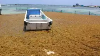 Debido a que comenzaron los recales de talofita y las autoridades no hacen nada, trabajadores del sector demostraron su compromiso con la comunidad.