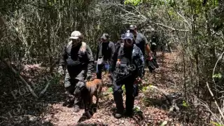 Hoy se sabe que la menor y sus tres hermanos están a disposición del DIF