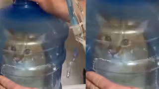 Gatito con asma recibe tratamiento de nebulización con un garrafón y se hace viral