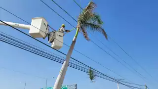 CFE realiza trabajos de restablecimiento de energía. Foto: Cortesía