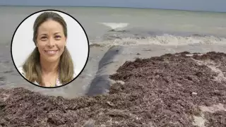 La Secretaría de Desarrollo Sustentable no permitirá la violación a la ley ambiental en Paraíso Sisal