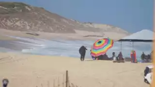 Los turistas huyeron al ver al enorme astado en la playa
