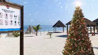 Playa Bonita en Campeche encenderá Árbol de Navidad con actividades gratuitas: ¿cuándo será?
