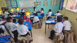 Exponen condiciones deficientes en primaria de Yucatán: niños toman clases sobre troncos secos