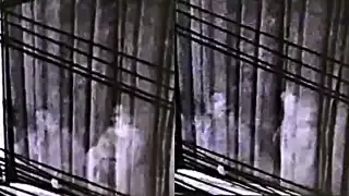 El video fue grabado en 2018, pero fue seis años después cuando se volvió viral