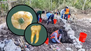 Investigadores de la UADY participan en hallazgo que reescribe la historia de la odontología maya