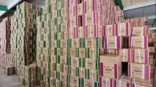 Libros de la SEP: Avanza entrega en Quintana Roo de 2 millones de ejemplares