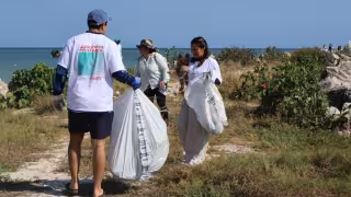 Playa Cerditos en Progreso: retiran más de 500 kilos de basura en jornada de limpieza