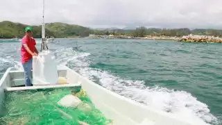 La zona es conocida como Punta del Tigre y se ubica en una de las dos bocas de conexión de la Laguna de Términos