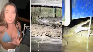 La creadora de contenidos narró sorprendida cómo el imponente animal apareció repentinamente en su camino