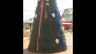 De acuerdo con las autoridades, no se sabe quien o quienes fueron los autores