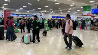 Este inicio de semana están programadas 504 operaciones