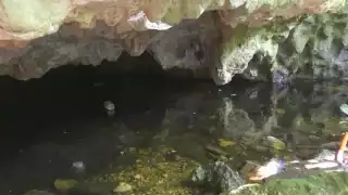 Saquean vestigios arqueológicos descubiertos en Cancún