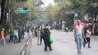 Se registraron 3 microsismos en la CDMX este martes con epicentro en la zona de Plateros en la Alcaldía Álvaro Obregón