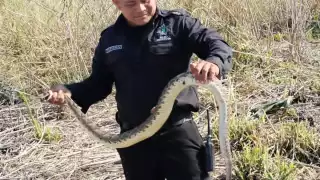 Policías municipales estuvieron al pendiente para que todo se desarrollara de manera tranquila y pacífica