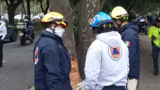 Los lesionados fueron reportados como estables