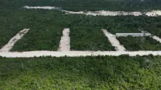 En el área prevalece flora y fauna protegida por la Norma Oficial Mexicana No. 159.