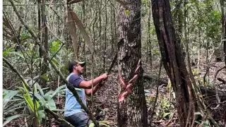 La actividad se realiza en 9 localidades del municipio