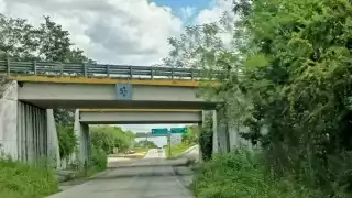 Ejidos de Kantunilkín desconocen sobre tierras expropiadas en Quintana Roo