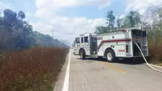 Hasta el lugar llegaron bomberos para sofocar las llamas