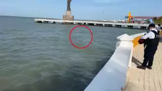 La persona llevaba al menos 20 horas de haber fallecido