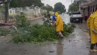 Personal de Protección Civil liberaron las calles bloqueadas