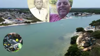 Paraíso Sisal atenta contra el hogar de estas especies