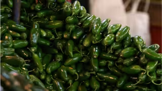 Brote de salmonela por jalapeños de Sinaloa deja 345 enfermos y 36 hospitalizados en Estados Unidos