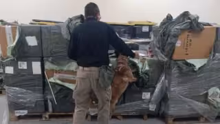 Decomisan casi 2 millones de cigarrillos ilegales en el AICM; ven evasión de impuestos