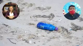 Lo que tiran los abañiles va a parar a la reserva ecológica, advierte una ONG