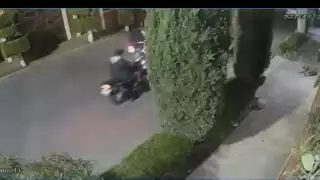 Jóvenes disparan a una perrita por diversión en Texcoco, Estado de México