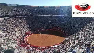 La SSC implementará un dispositivo de seguridad con 550 elementos