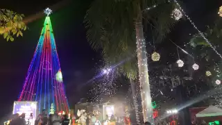 Cientos de personas se dieron cita en el encendido del árbol