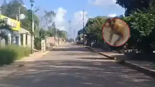 Sucedió una riña entre vándalos