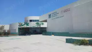 Mujer resulta gravemente herida tras autolesionarse con un cuchillo en Escárcega