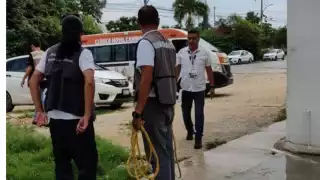 Denuncian a la Secretaría de Bienestar en Cancún por maltrato animal