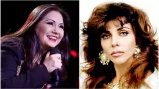 Diversos medios del espectáculo han señalado que este tema se lo dedicó a Verónica Castro. Foto: Especial