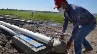 Regularizan 664 campos de riego para subsidio eléctrico en Campeche