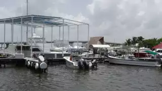 El SAT dio tregua a los dueños; sin embargo, el proceso continúa