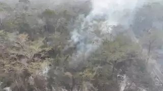 Informes de la Secretaría de Medio Ambiente, Biodiversidad, Cambio Climático y Energía