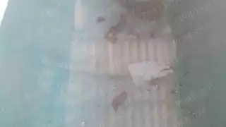 ¡Agua sucia envenena a familias! Pobreza les obliga a beber agua no purificada en Sabancuy