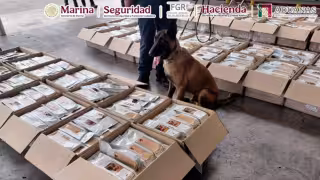 Aseguran en el AICM una tonelada de café contaminado con cocaína durante revisión de carga