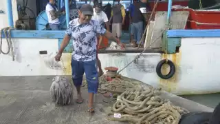 Las ventas de pulpo durante el mes de septiembre fueron bajas