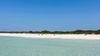 Esta es la joya escondida entre manglares de Yucatán para visitar en Verano