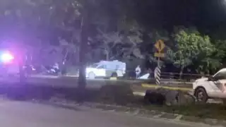 Los hechos ocurrieron alrededor de las 03:00 horas