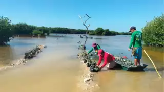 Así se desarrolla la planeación de las labores de protección a Sisal